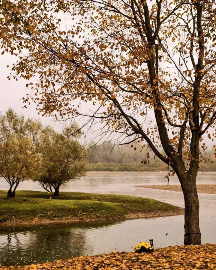 Drinska Laguna Banja Koviljača Esterno foto