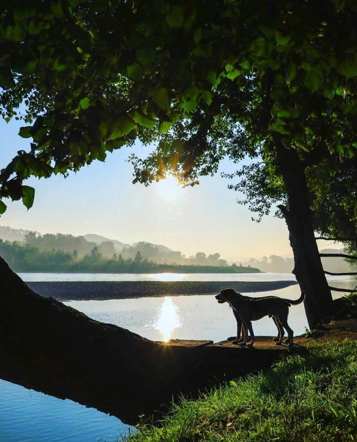 Drinska Laguna Banja Koviljača Esterno foto